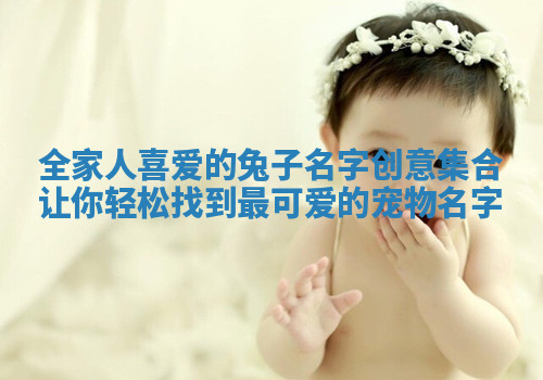 全家人喜爱的兔子名字创意集合让你轻松找到最可爱的宠物名字