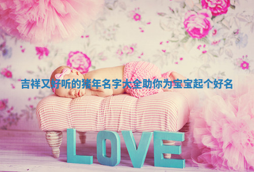 吉祥又好听的猪年名字大全助你为宝宝起个好名