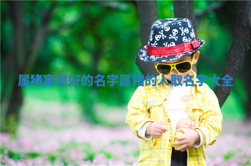 属猪寓意好的名字_属猪的人取名字大全