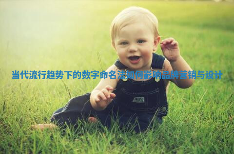 当代流行趋势下的数字命名法如何影响品牌营销与设计