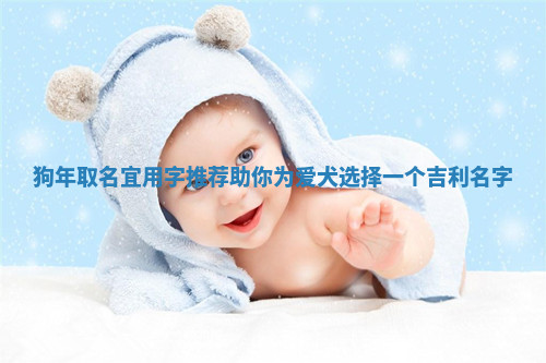 狗年取名宜用字推荐助你为爱犬选择一个吉利名字