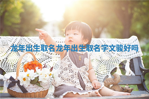 龙年出生取名 龙年出生取名字文骏好吗